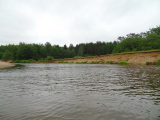 Лес в низовьях Быстрицы (bokax)