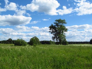 Здесь была деревня Пашковы (Дмитрий Зонов)