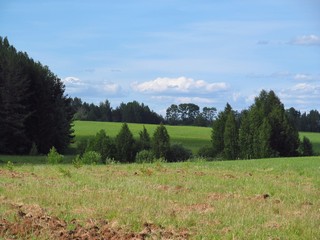 Вид от Пашковых на б/д Бессонки (Дмитрий Зонов)
