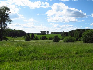 Вид от Пашковых в сторону б/д Малоголовка (Дмитрий Зонов)