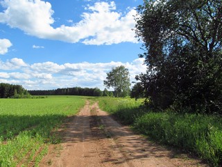 По бывшей деревне Пашковы (Дмитрий Зонов)