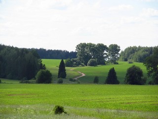 Дорога у Малоголовки (Дмитрий Зонов)