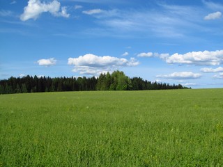 Склон холма б/д Малюгановы (Дмитрий Зонов)