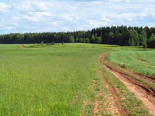 Спуск с холма (Дмитрий Зонов)