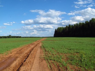 Дорога у б/д Соловьи (Дмитрий Зонов)