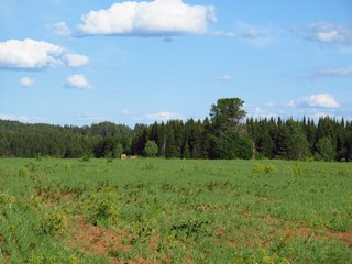 Бывшая деревня Соловьи (Дмитрий Зонов)