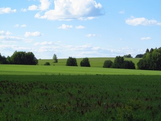 Холм у б/д Малюганово (Дмитрий Зонов)
