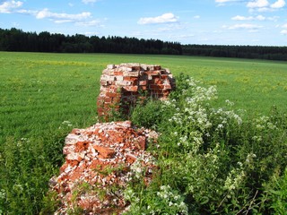 Руины - памятник прошлого (Дмитрий Зонов)