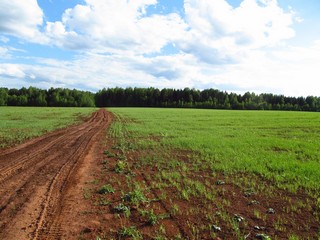 Дорога в сторону б/д Шадрины (Дмитрий Зонов)