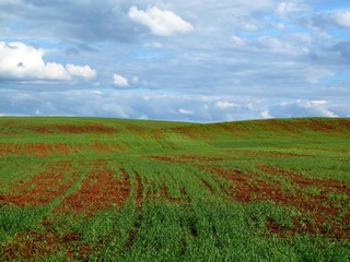 Холмы (Дмитрий Зонов)