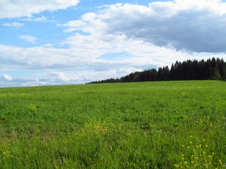 Склон Черепашьего холма у б/д Коковы (Дмитрий Зонов)