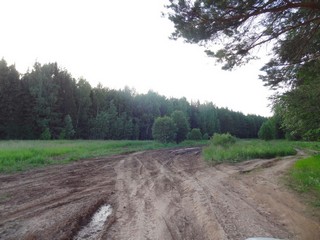 Ужасный лесной участок трасса Уржум - Йошкар-Ола (bokax)