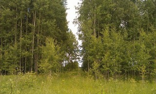 июнь 2014г (Aleksey S.)