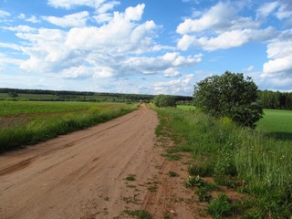 Дамба в сторону р.Спировки (Дмитрий Зонов)