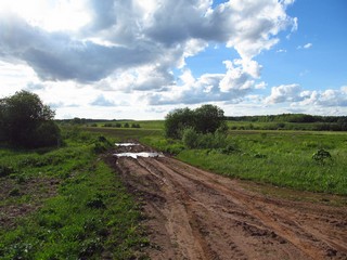 Дорога к б/д Быково (Дмитрий Зонов)