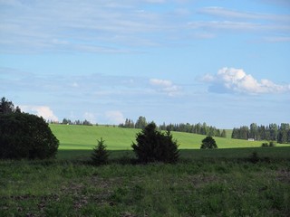 Вид в сторону Слободского тракта (Дмитрий Зонов)