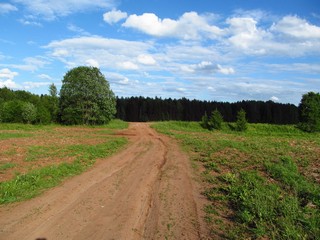 Свет и тень, июнь (Дмитрий Зонов)