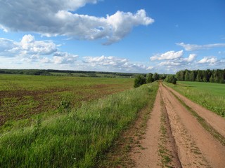 Дорога к садам у д.Аверино (Дмитрий Зонов)