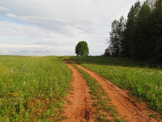 У б/д Климково (Дмитрий Зонов)