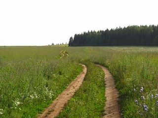 Лето, полевая дорога (Дмитрий Зонов)