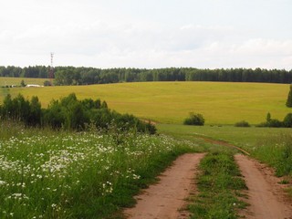 Спуск с холма (Дмитрий Зонов)