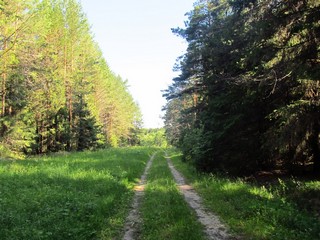 Дорога у сельского кладбища (Дмитрий Зонов)