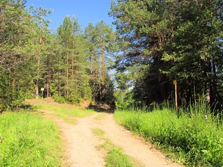 Полянка перед р.Медянкой (Дмитрий Зонов)