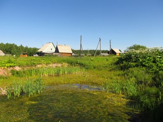 Прудик в Замедянцах (Дмитрий Зонов)