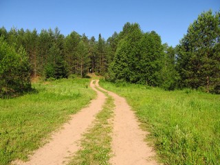 Дорога к Медянке (Дмитрий Зонов)