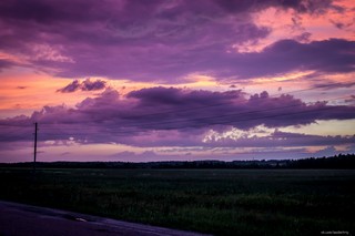 Дорога в Лебяжье (Dmitriy Zubarev)