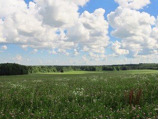 Тени облаков (Дмитрий Зонов)