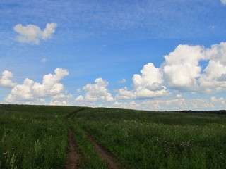 У вершины холма (Дмитрий Зонов)