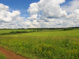 Ложок в сторону урочища Нового (Дмитрий Зонов)