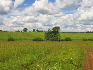 Гущата, Катаевщина и трактор (Дмитрий Зонов)