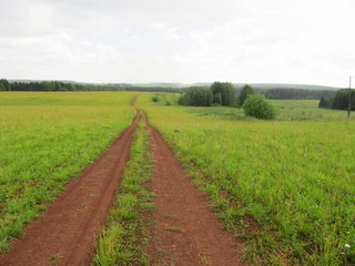 Полевая дорога Плишки-Слоты (Дмитрий Зонов)