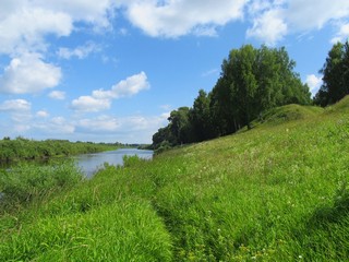 Река Пижма, июль (Дмитрий Зонов)