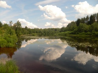 У устья р. Шурчихи (ankro)