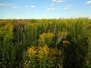 Россия, Республика Удмуртия, г. Ижевск, Завьяловский район. (Михаил Беликов)