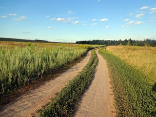 Россия, Республика Удмуртия, г. Ижевск, Завьяловский район. (Михаил Беликов)