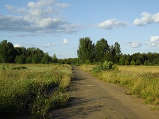 Асфальт в чистом поле (Дмитрий Зонов)