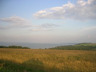 Изображение 072 (mironov dmitry)