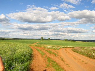 Развилка у б/д Коковы (Дмитрий Зонов)