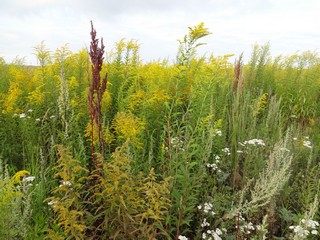Россия, Республика Удмуртия, г. Ижевск, Завьяловский район. (Михаил Беликов)