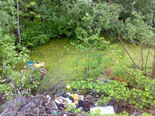 Свалка в болоте (D. MAN)