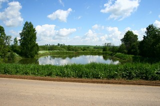 Малый пруд (нижний) (Юрий Зыкин)