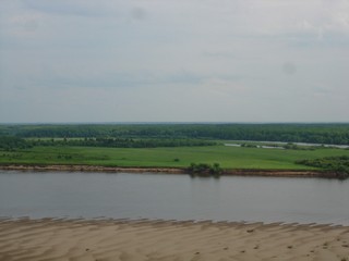 дубовая роща (Anna&Pavel)