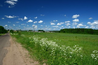 Ивановщина (Юрий Зыкин)