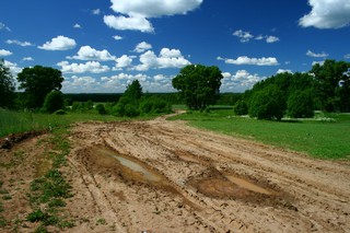 Дорога с сторону урочища Земцы (Юрий Зыкин)