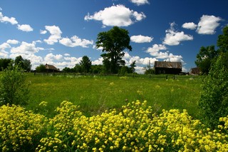 Заброшенные дома в Колышманах (Юрий Зыкин)
