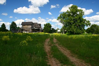 Заречещина, вид на деревню (Юрий Зыкин)